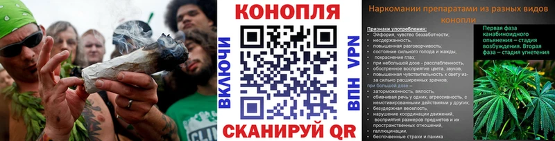 Конопля Amnesia  как найти   Абаза 